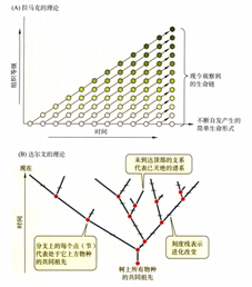 拉马克与达尔文